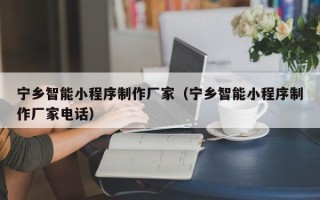 乌鲁木齐宁乡智能小程序制作厂家（宁乡智能小程序制作厂家电话）